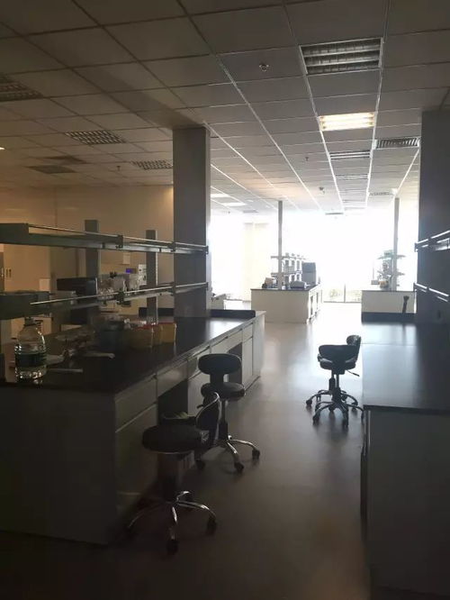 從戀愛到二胎都能測，消費級基因檢測靠譜嗎？